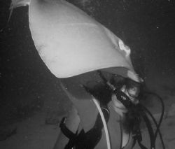 Taken at Stinray City, Grand Cayman. MX-10/wide angle by Stephani Hurrle 